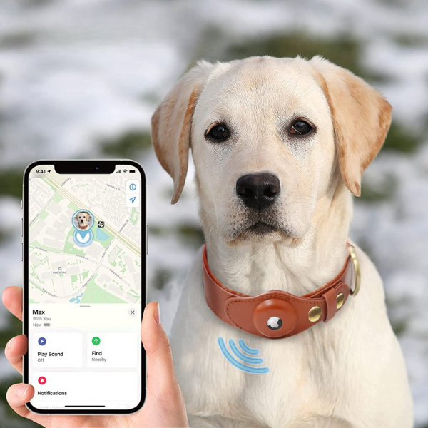 GPS Dog Collar™